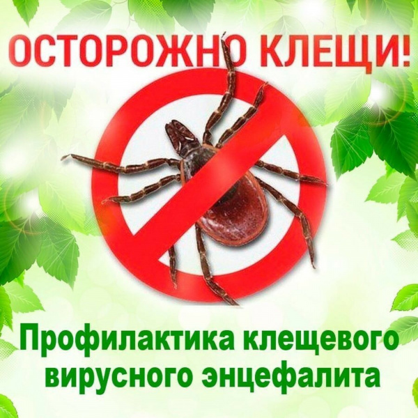 Профилактика клещевого энцефалита